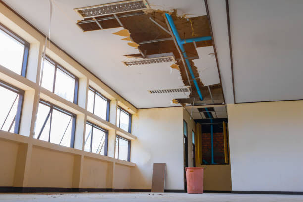 Best Water damage cleanup near me  in Washington Park, IL