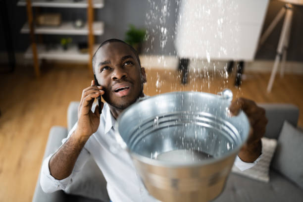 Best Ceiling water damage repair  in Washington Park, IL