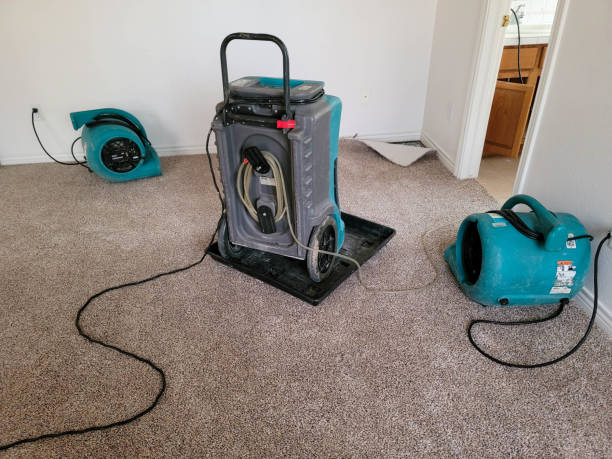 Best Local water damage restoration  in Washington Park, IL