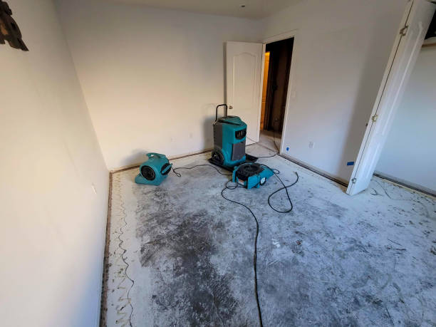 Best Ceiling water damage repair  in Washington Park, IL