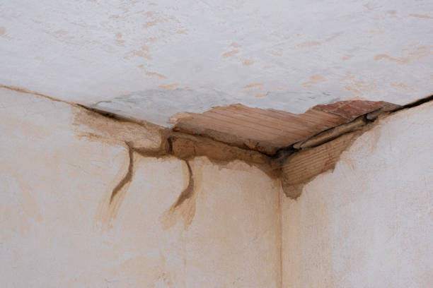 Best Water damage contractors near me  in Washington Park, IL
