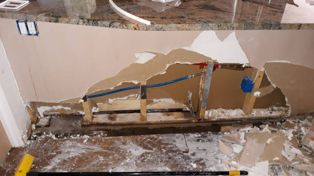 Best Water damage restoration specialists  in Washington Park, IL