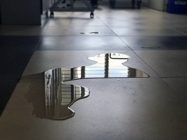 Best Emergency water damage restoration  in Washington Park, IL