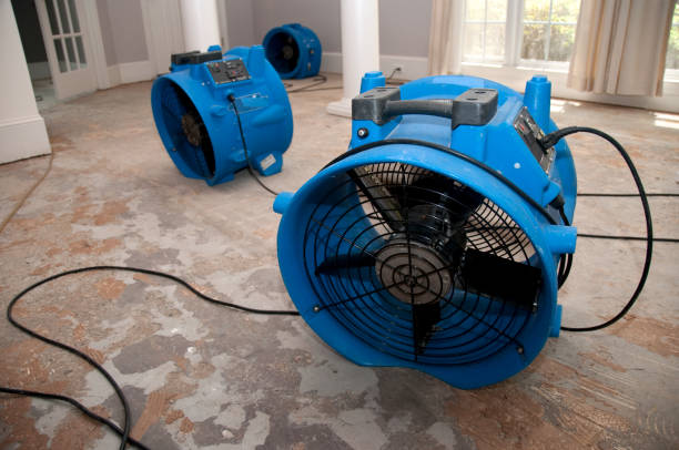 Sewage cleanup and water damage restoration in Washington Park, IL