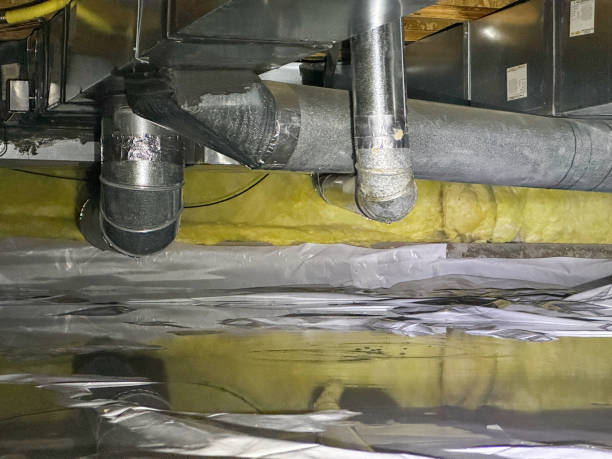 Best Flooded house restoration  in Washington Park, IL