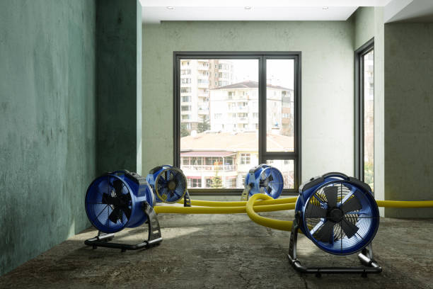 Best Professional water damage repair  in Washington Park, IL