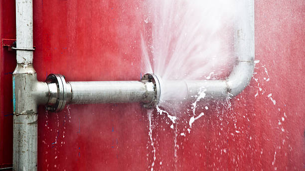 Best Flood damage cleanup  in Washington Park, IL