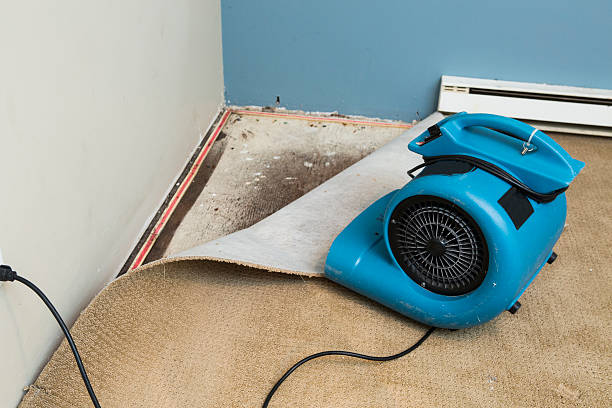 Best Commercial water damage restoration  in Washington Park, IL